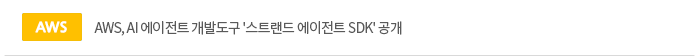 AWS, AI 에이전트 개발도구 '스트랜드 에이전트 SDK' 공개