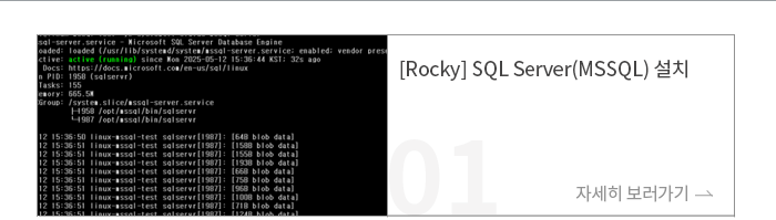 [Rocky] SQL Server(MSSQL) 설치