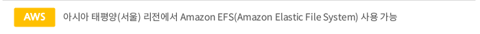 aws - 아시아 태평양(서울)리전에서 amazon EFS(amazon Elastic File System)사용 가능