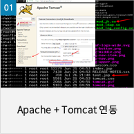 apache+tomcat 연동