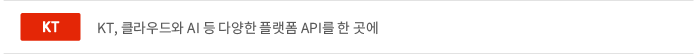 KT, 클라우드와 AI 등 다양한 플랫폼 API를 한 곳에 