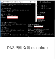 DNS   nslookup