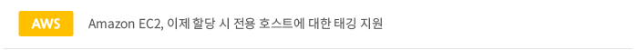Amazon EC2, 이제 할당 시 전용 호스트에 대한 태깅 지원 