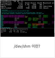 /dev/shm 이란?