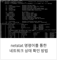 netstat 명령어를 통한 네트워크 상태 확인 방법