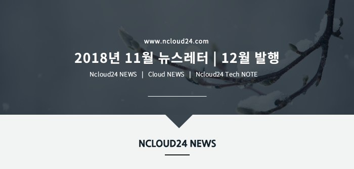 엔클라우드24 2018년 11월 뉴스레터 12월 발행