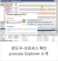 -μ Ȯ prosess Explorer Ұ