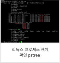 리눅스-프로세스 관계 확인 pstree