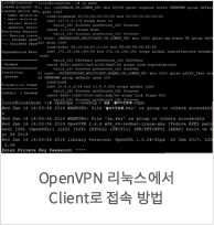 OpenVPN 리눅스에서 Client로 접속방법
