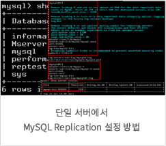 단일 서버에서 MySQL Replication 설정 방법