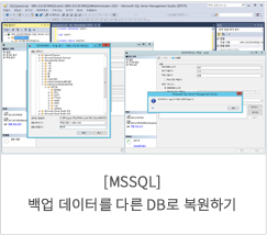 [MSSQL] 백업 데이터를 다른 DB로 복원하기
