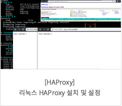 [HAProxy] 리눅스 HAProxy 설치 및 설정