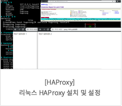 [HAProxy]  HAProxy ġ  