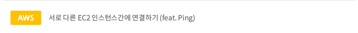 서로 다른 EC2 인스턴스간에 연결하기 (feat. Ping)