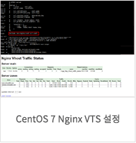 CentOS 7 Nginx VTS 
