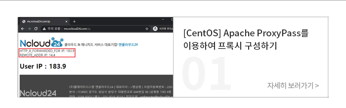 [CentOS] Apache ProxyPass를 이용하여 프록시 구성하기