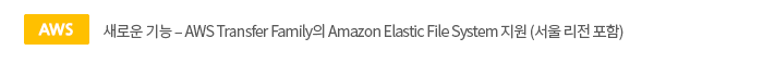 [aws]새로운 기능 ? AWS Transfer Family의 Amazon Elastic File System 지원 (서울 리전 포함)