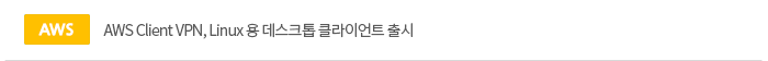 [aws]AWS Client VPN, Linux  ũ Ŭ̾Ʈ 