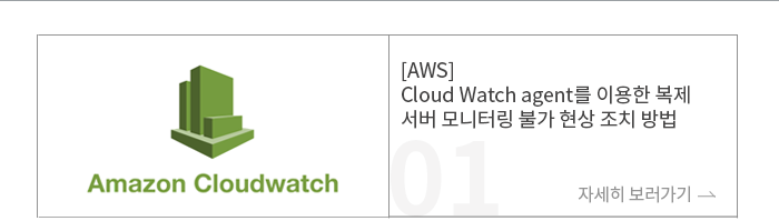 [AWS] Cloud Watch agent를 이용한 복제 서버 모니터링 불가 현상 조치 방법