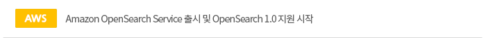 Amazon OpenSearch Service   OpenSearch 1.0  