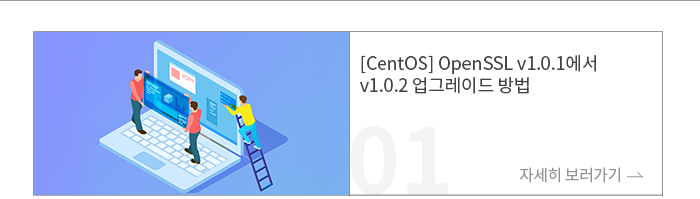 [CentOS] OpenSSL v1.0.1에서 v1.0.2 업그레이드 방법