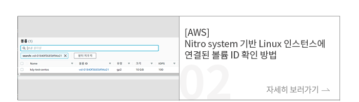 [AWS] Nitro system 기반 Linux 인스턴스에 연결된 볼륨 ID 확인 방법