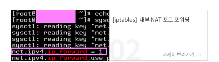 [iptables]  NAT Ʈ 