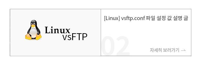 [Linux] vsftp.conf 파일 설정 값 설명 글