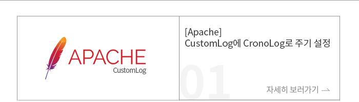 [Apache] CustomLog CronoLog ֱ 