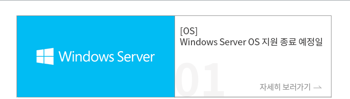 [OS] Windows Server OS   